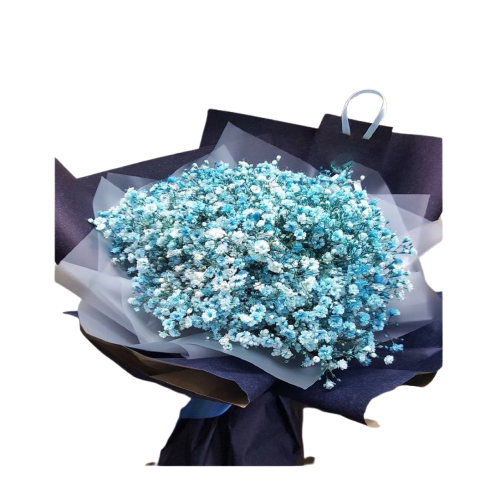 بوكيه ورد الجيبسوفيليا