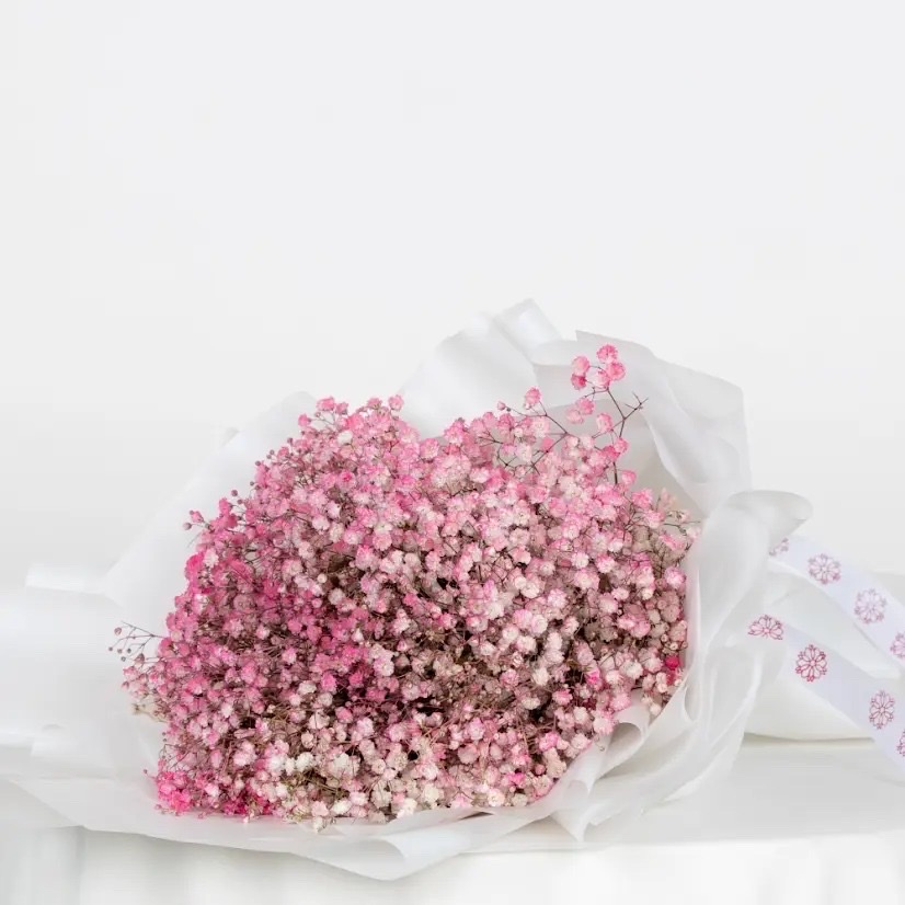 بوكيه ورد جبسوفيليا وردي